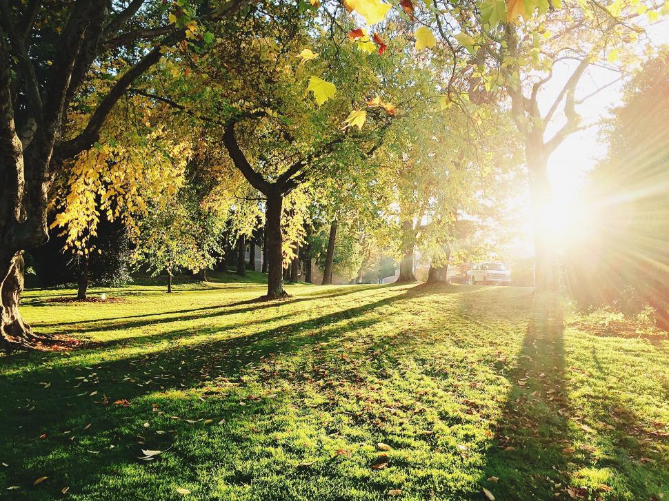 Image of a park on a sunny afternoon.